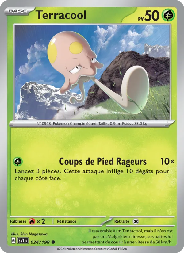Terracool, Écarlate et Violet 024