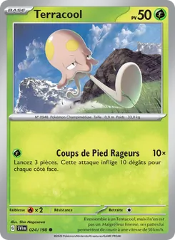 Terracool, Écarlate et Violet 024