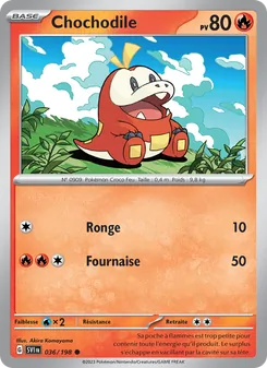 Chochodile, Écarlate et Violet 036