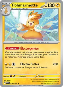 Pohmarmotte, Écarlate et Violet 076