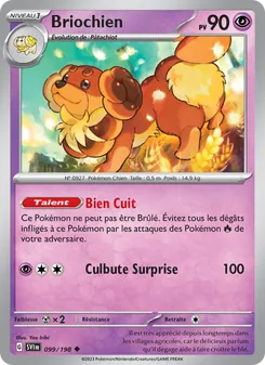 Briochien, Écarlate et Violet 099
