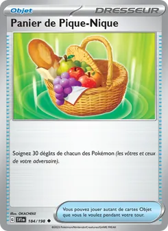 Panier de Pique-Nique, Écarlate et Violet 184