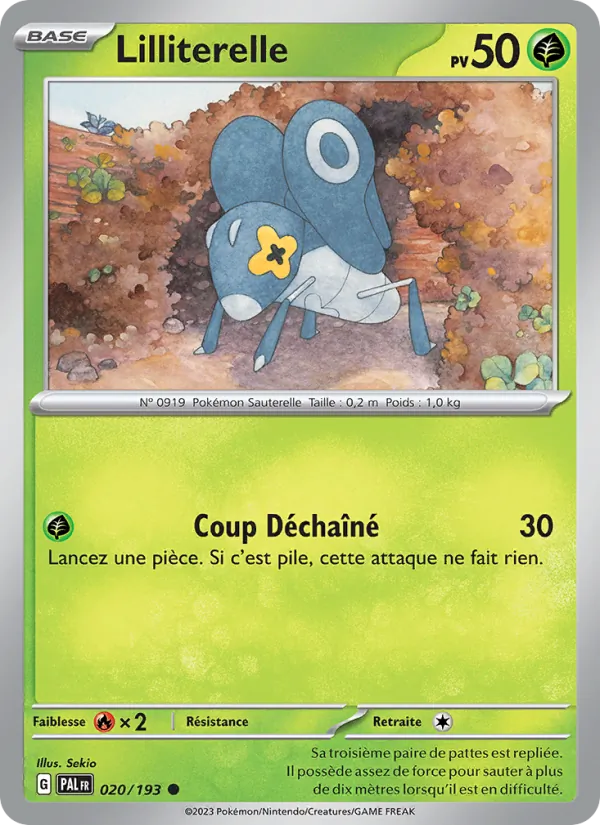 Lilliterelle, Évolutions à Paldea 020