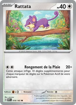 Rattata, 151 019