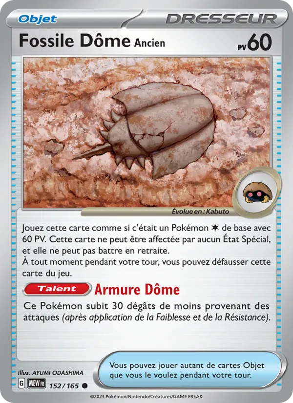 Fossile Dôme Ancien, 151 152