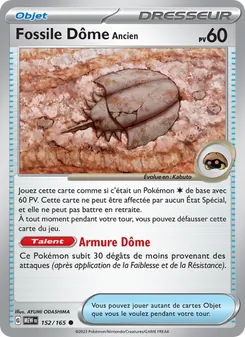 Fossile Dôme Ancien, 151 152