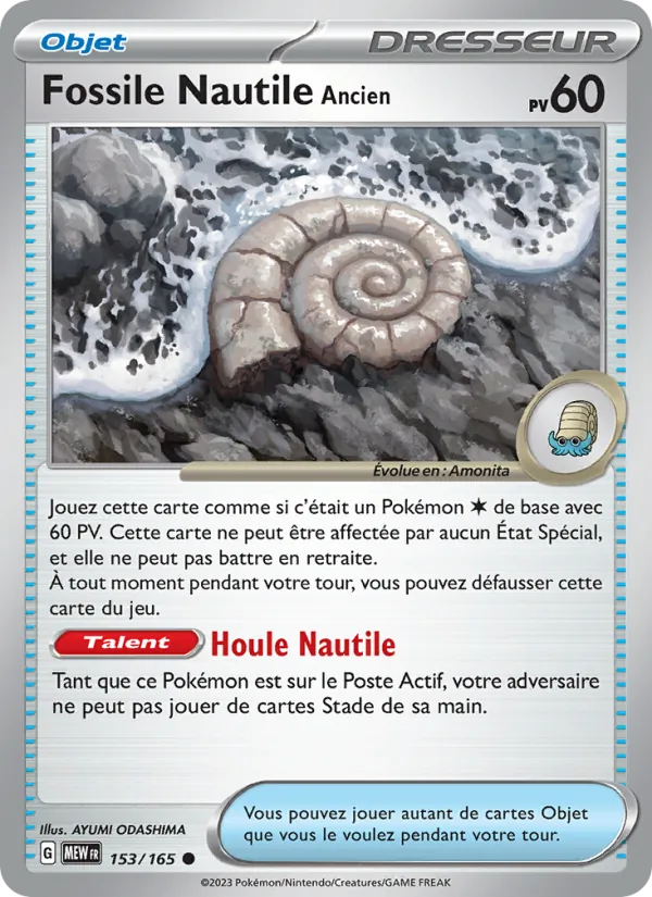 Fossile Nautile Ancien, 151 153