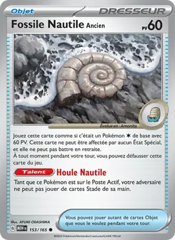 Fossile Nautile Ancien, 151 153