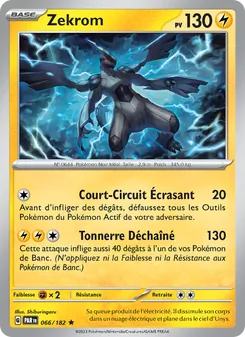 Zekrom, Faille Paradoxe 066