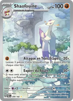 Shaofouine, Faille Paradoxe 200