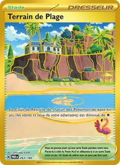 Terrain de Plage, Faille Paradoxe 263