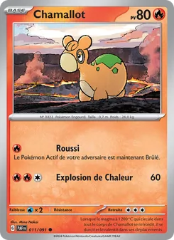 Chamallot, Destinées de Paldea 011