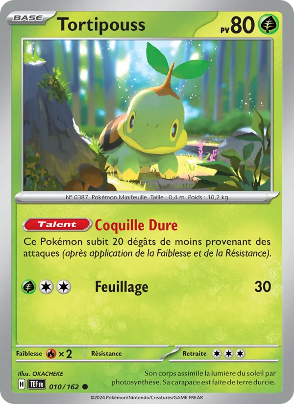 Tortipouss, Forces Temporelles 010