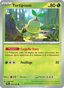 Tortipouss, Forces Temporelles 010