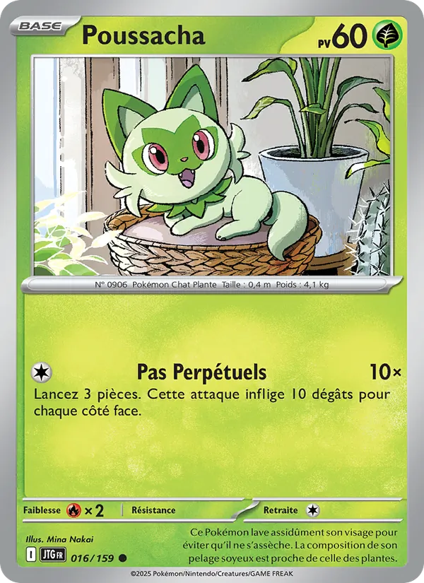 Poussacha, Aventures Ensemble 016