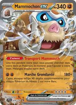 Mammochon-ex, Aventures Ensemble 079