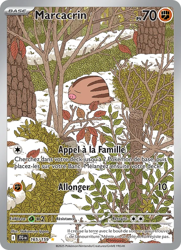 Marcacrin, Aventures Ensemble 165