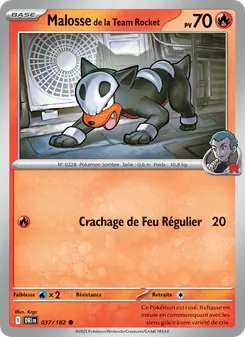 Malosse de la Team Rocket, Rivalités Destinées 037