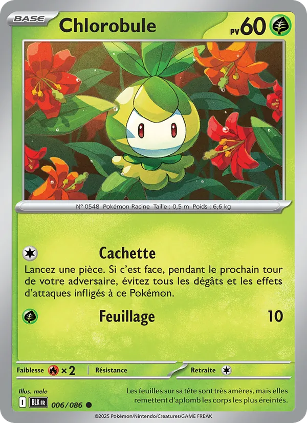 Chlorobule, Foudre Noire 006