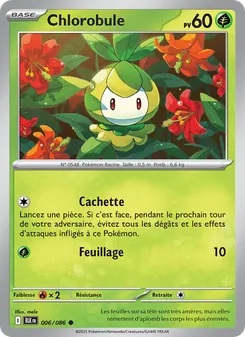 Chlorobule, Foudre Noire 006