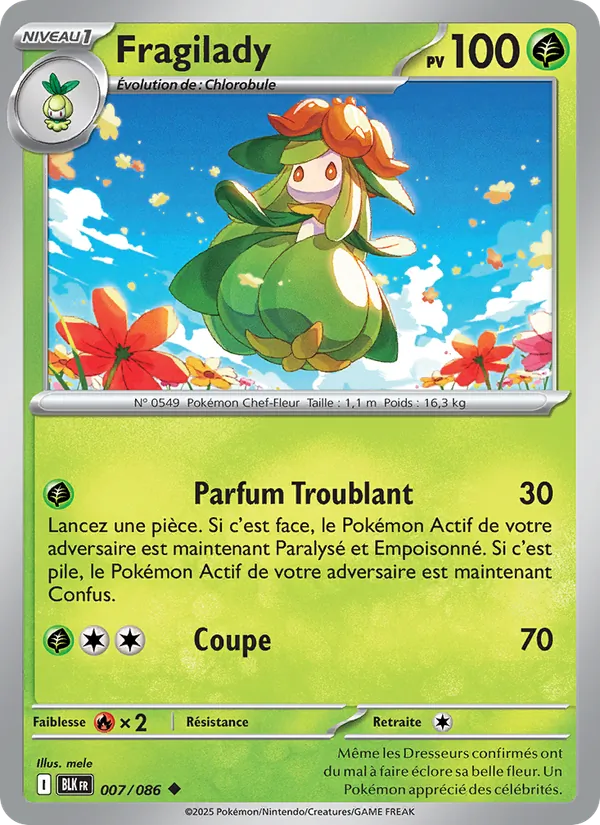 Fragilady, Foudre Noire 007