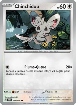 Chinchidou, Foudre Noire 075