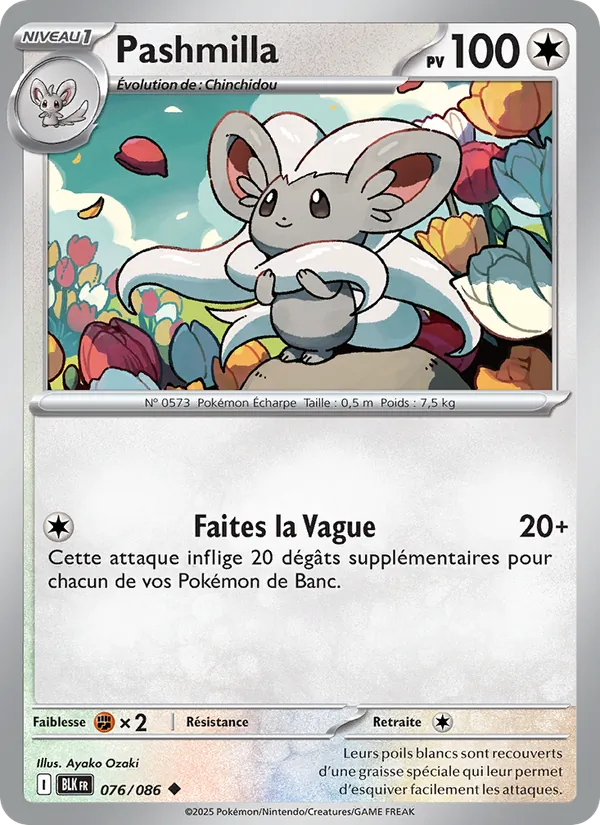 Pashmilla, Foudre Noire 076