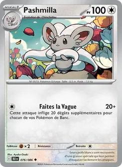 Pashmilla, Foudre Noire 076