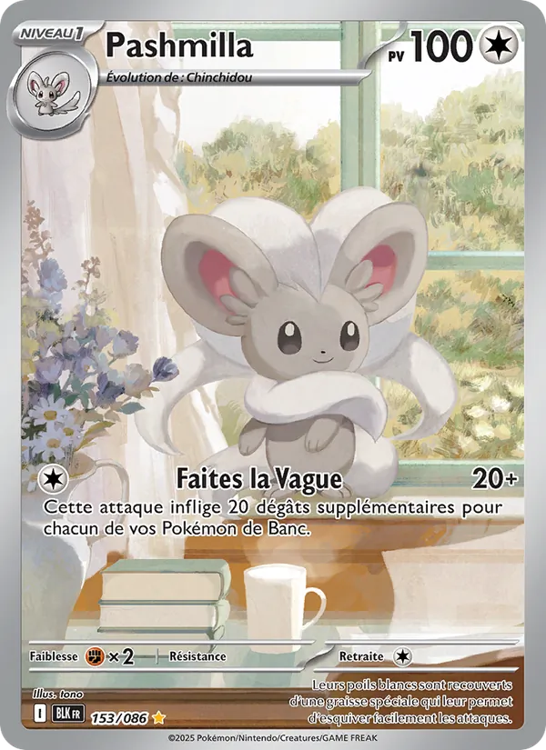 Pashmilla, Foudre Noire 153