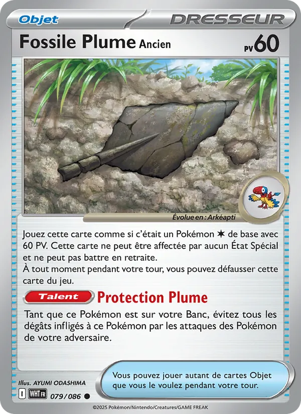 Fossile Plume Ancien, Flamme Blanche 079