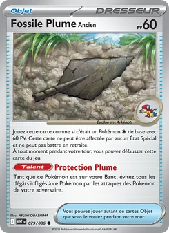 Fossile Plume Ancien, Flamme Blanche 079