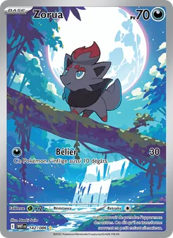 Zorua, Flamme Blanche 142