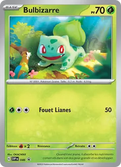 Bulbizarre, SVP Black Star Promos 046