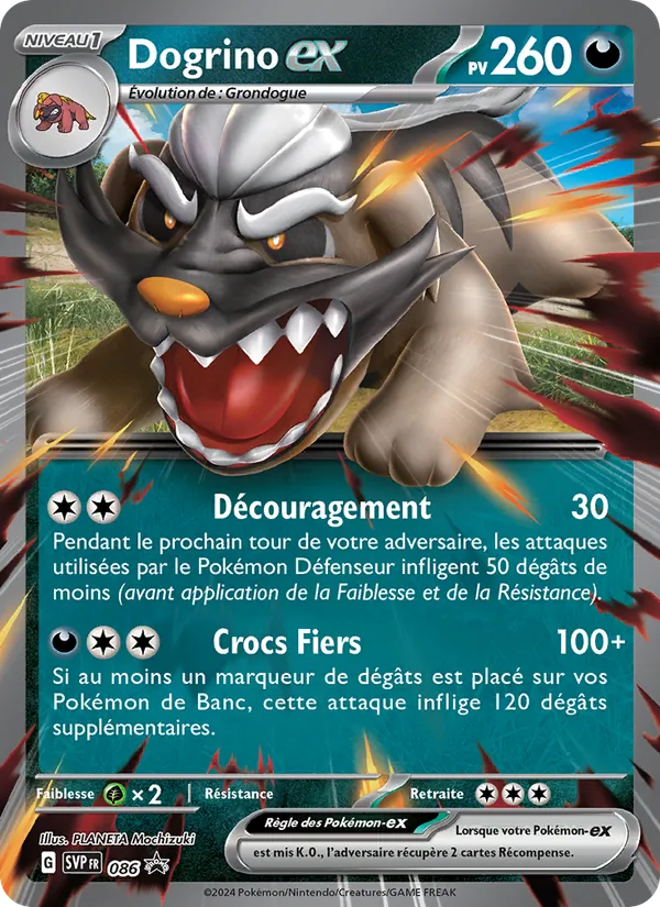 Dogrino-ex, SVP Black Star Promos 086