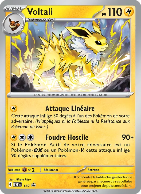 Voltali, SVP Black Star Promos 169