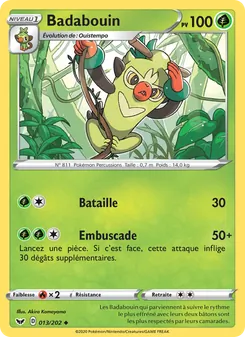 Badabouin, Épée et Bouclier 13