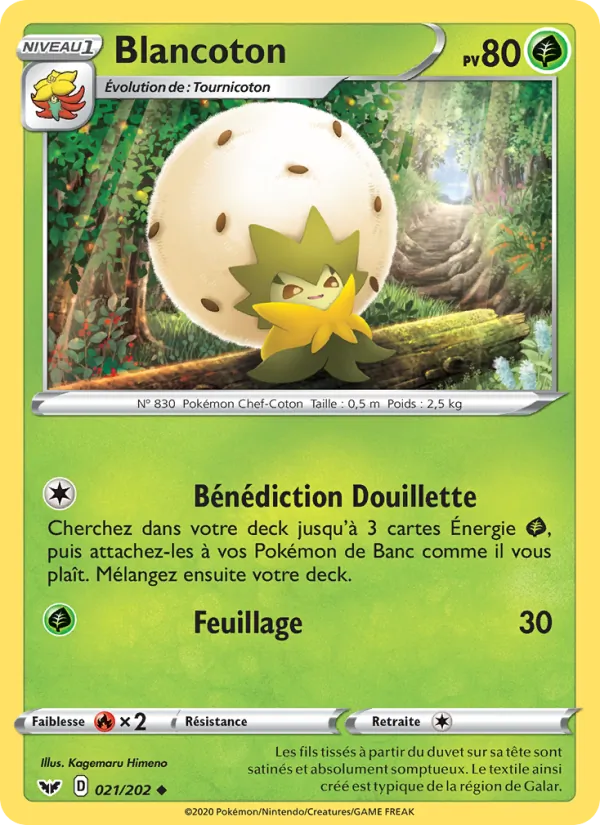 Blancoton, Épée et Bouclier 21