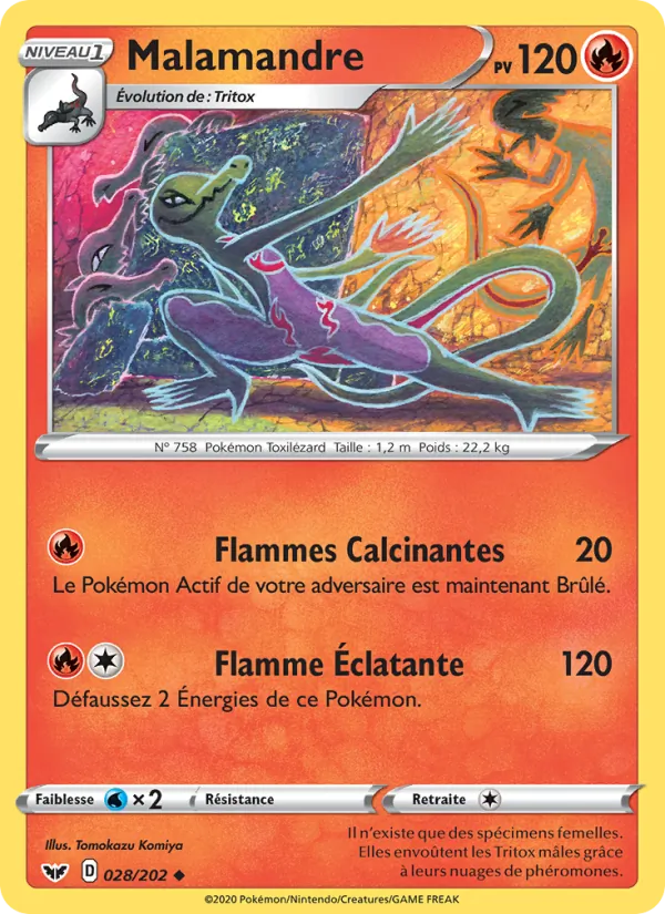 Malamandre, Épée et Bouclier 28