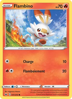 Flambino, Épée et Bouclier 31