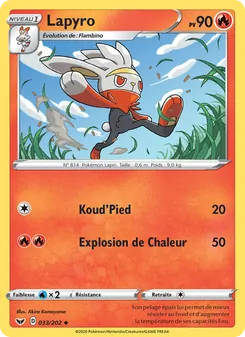 Lapyro, Épée et Bouclier 33