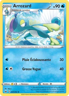 Arrozard, Épée et Bouclier 57