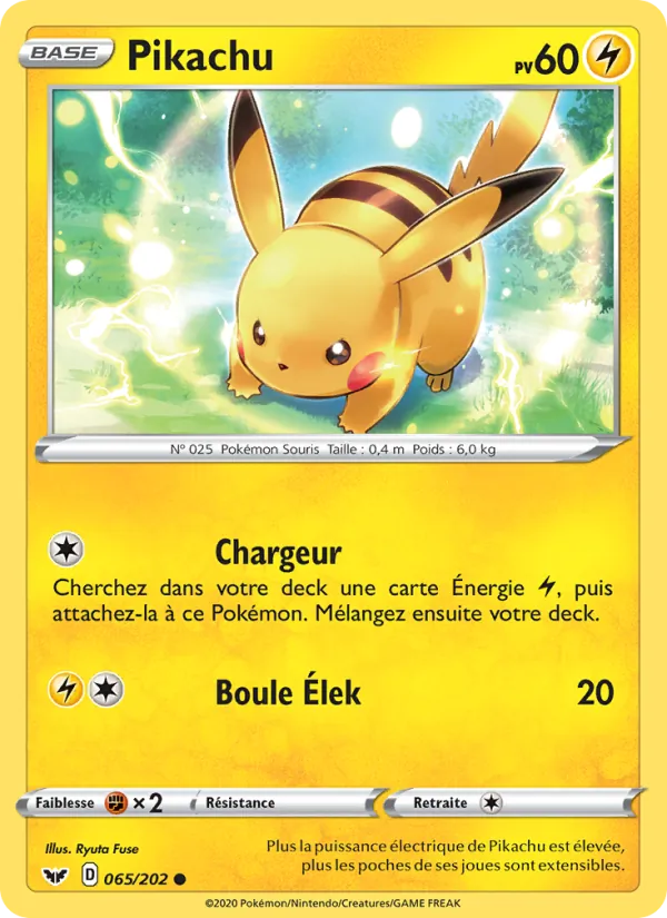 Pikachu, Épée et Bouclier 65