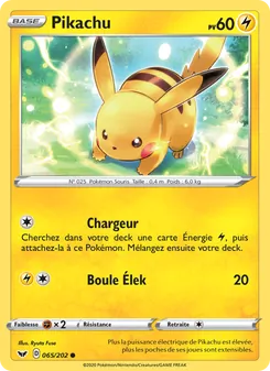 Pikachu, Épée et Bouclier 65
