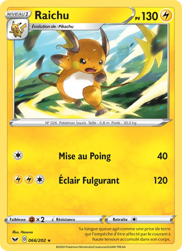 Raichu, Épée et Bouclier 66