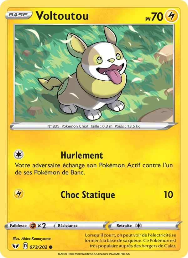Voltoutou, Épée et Bouclier 73
