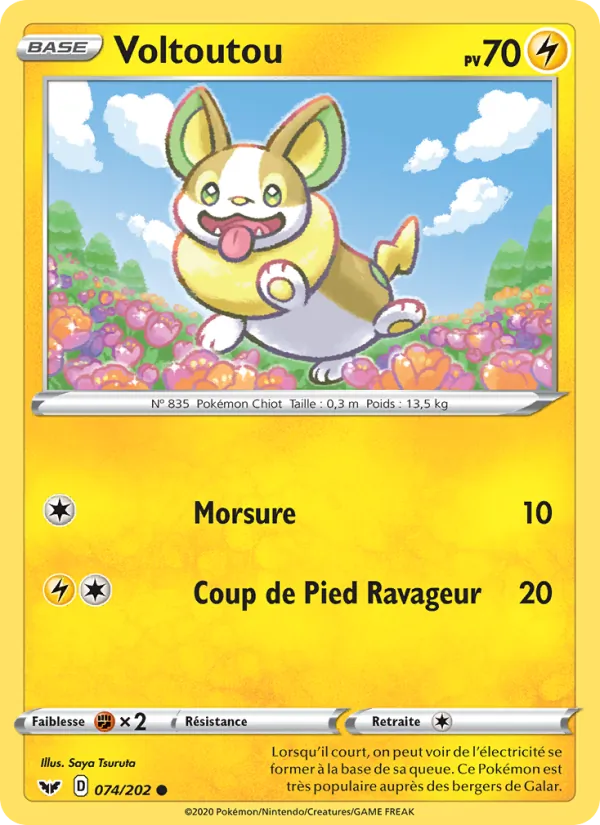 Voltoutou, Épée et Bouclier 74