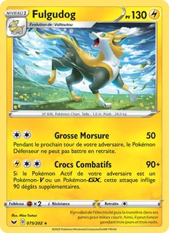 Fulgudog, Épée et Bouclier 75
