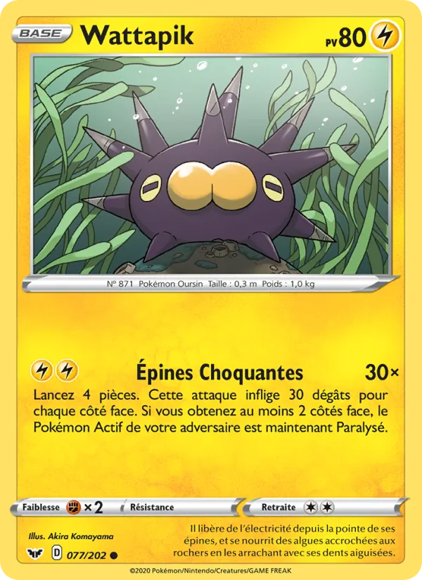 Wattapik, Épée et Bouclier 77
