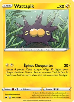 Wattapik, Épée et Bouclier 77
