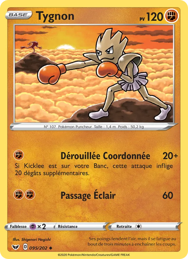 Tygnon, Épée et Bouclier 95